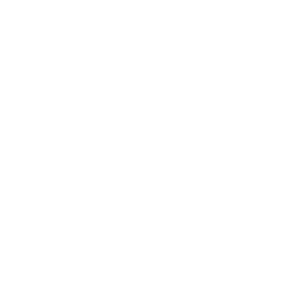 project_icon